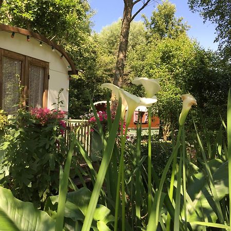 Roulottes Du Rouard Bed and Breakfast Camiers Exterior foto