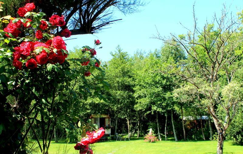 Roulottes Du Rouard Bed and Breakfast Camiers Habitación foto