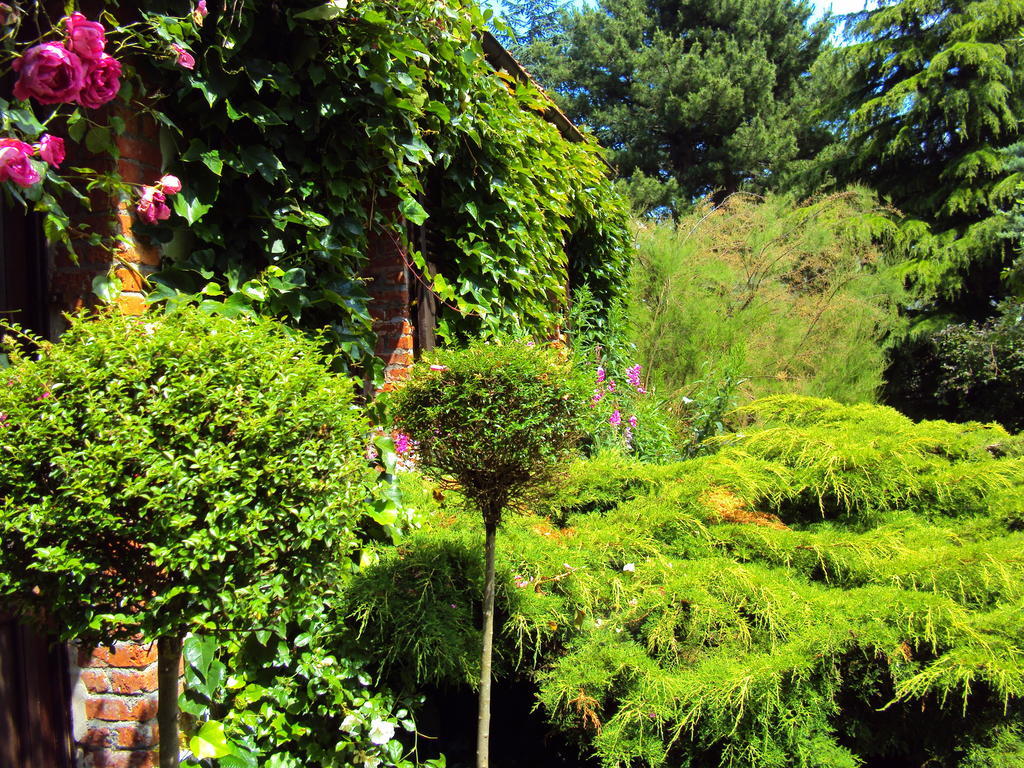 Roulottes Du Rouard Bed and Breakfast Camiers Exterior foto