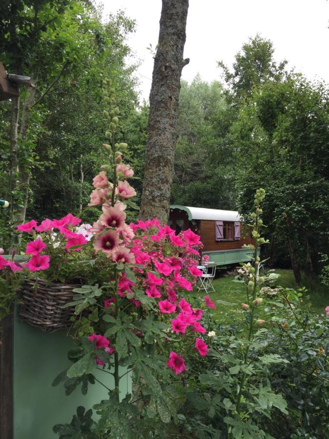 Roulottes Du Rouard Bed and Breakfast Camiers Exterior foto
