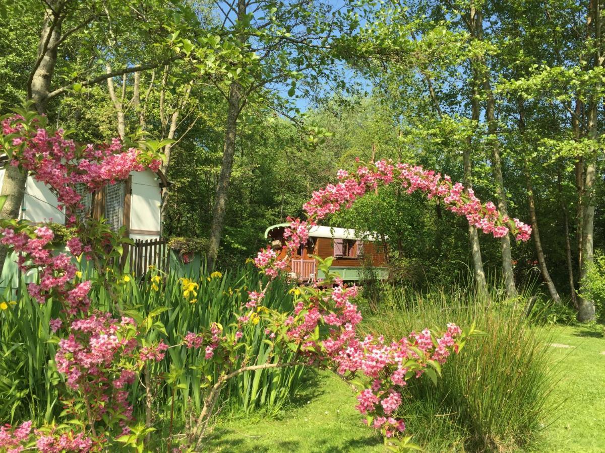 Roulottes Du Rouard Bed and Breakfast Camiers Exterior foto